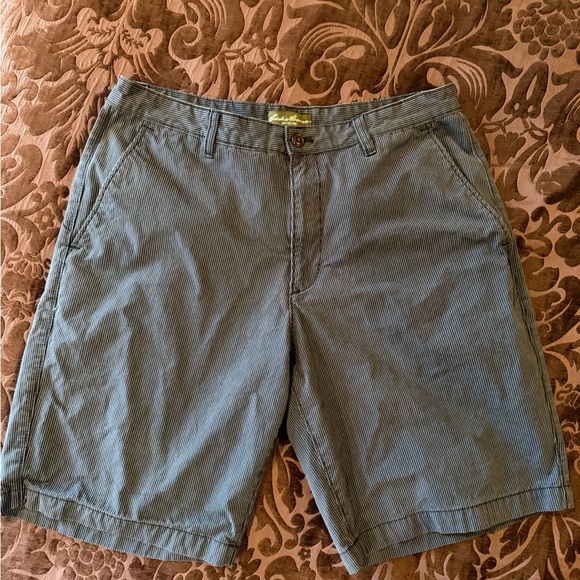 Eddie Bauer Blue Flat Front Shorts Lightweight Casual Wear